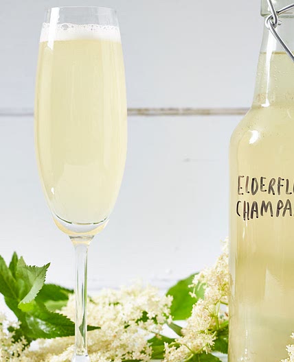 Elderflower champagne