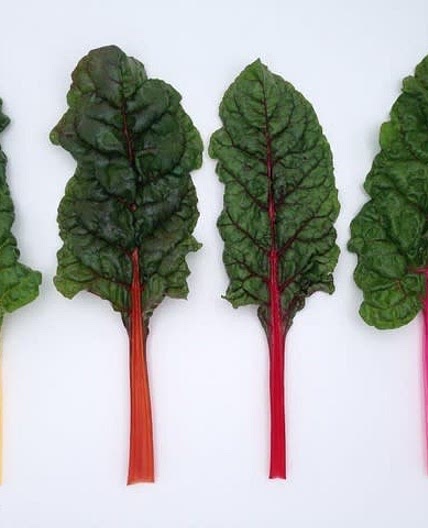 Chilled Rainbow Chard with Lemon and Olive Oil