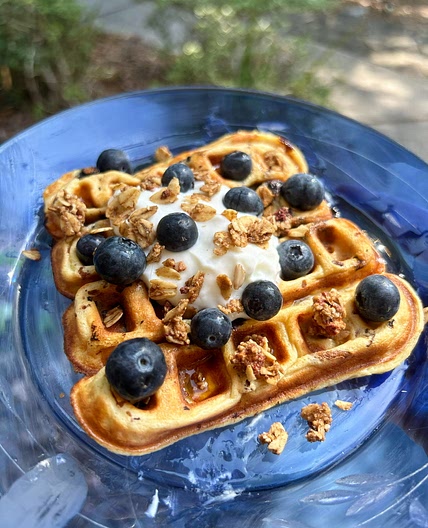 Wild Blueberry Protein Waffle 