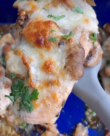 Cheesy mushroom chicken 