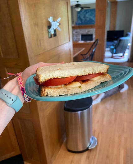 Tomato Sandwich 