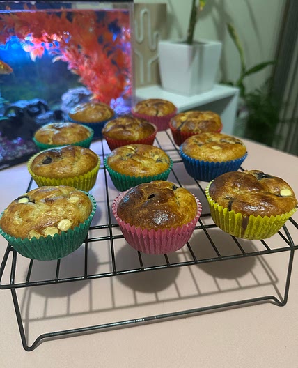Blender protein blueberry & white choc chip muffins 