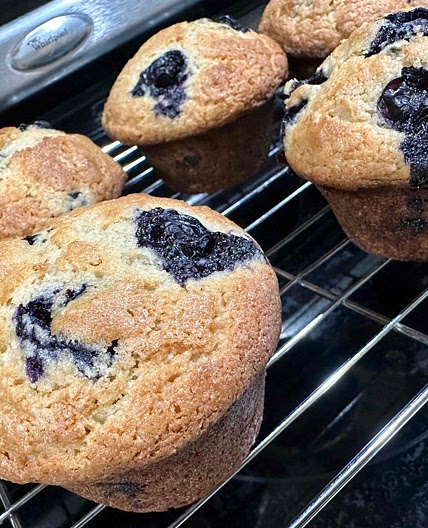 Blueberry Muffins