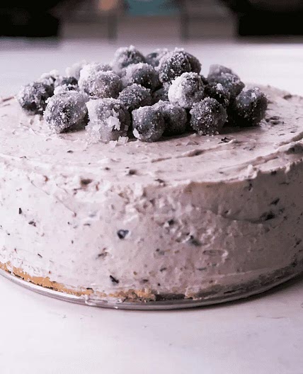 Lemon Blueberry Mousse Cake