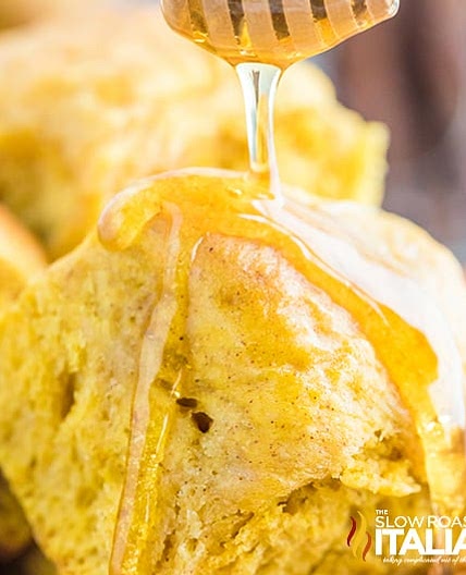 Fluffy and Soft Honey Pumpkin Dinner Rolls Recipe