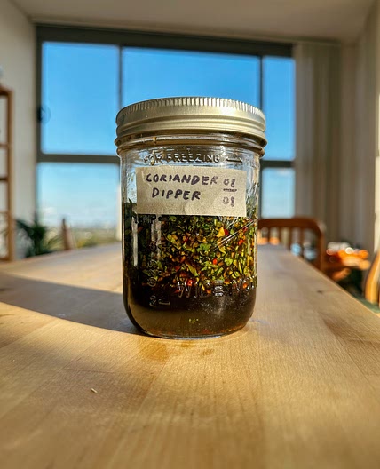 Coriander/Cilantro Dipping Sauce
