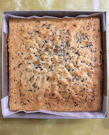 Chocochip Butter Cake 