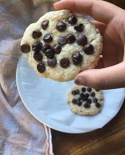 Microwave Chocolate Chip Cookie!