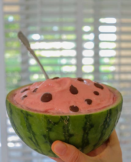 Disney's Watermelon Whip (3 ingredients & vegan)