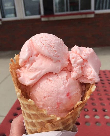 low cal protein ice cream