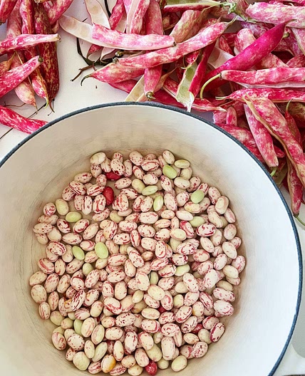Summer Brothy Beans with Chili and Garlic