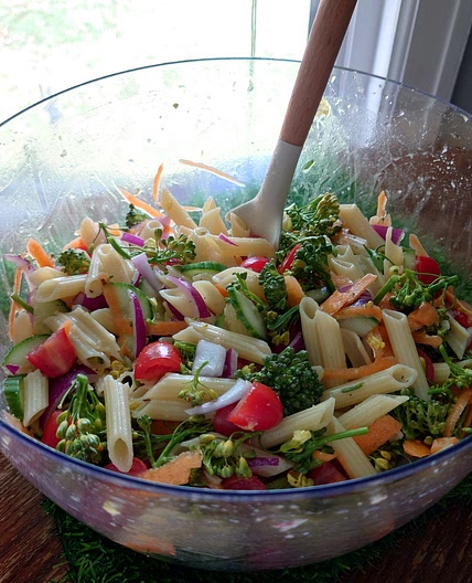 Gluten Free Veggie Pasta Salad