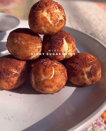 Mini Cinny Sugar Bites