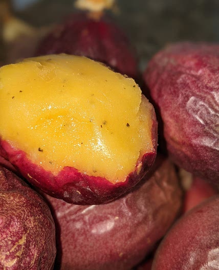 Passionfruit Sorbet
