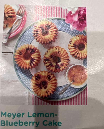Meyer Lemon Blueberry Cake 