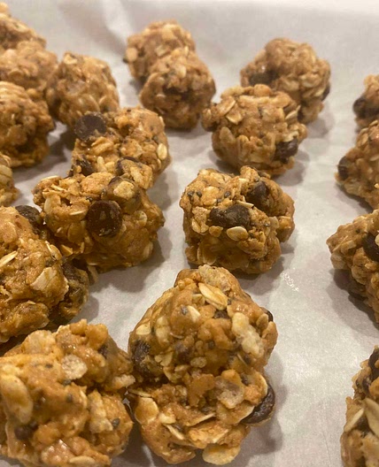 Protein balls