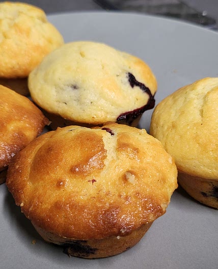 Blueberry Muffins/Bread