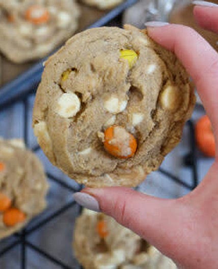Pumpkin Spice Cookies