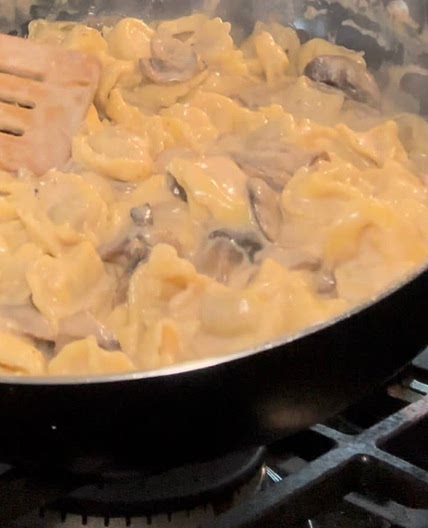 Tortellini stroganoff 