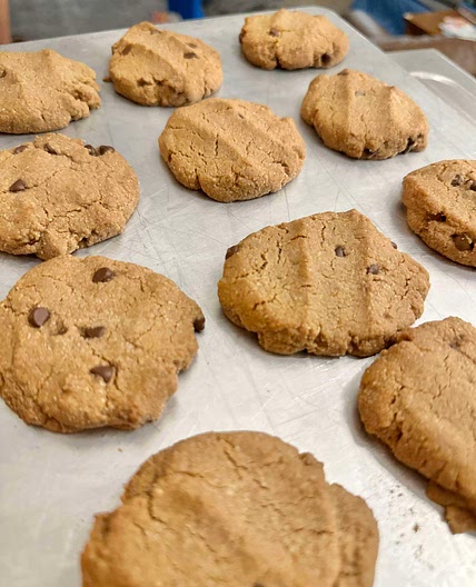 Gluten Free, Grain Free, Vegan Chocolate Chip Cookies 