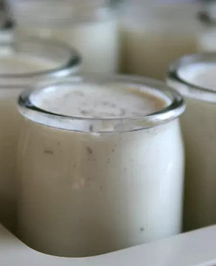 Yaourts au Thermomix
