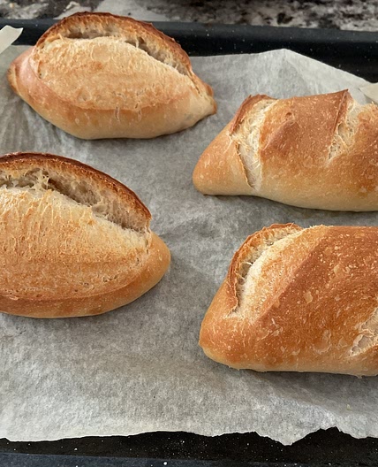 Bánh mì
