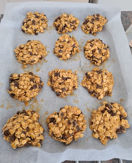 OATMEAL CHOCOLATE CHIP COOKIES