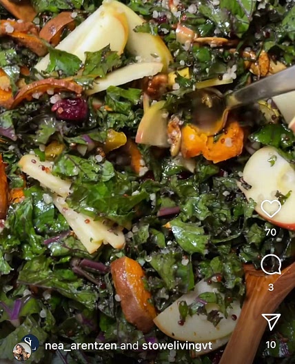 Salad Harvest Bowl 