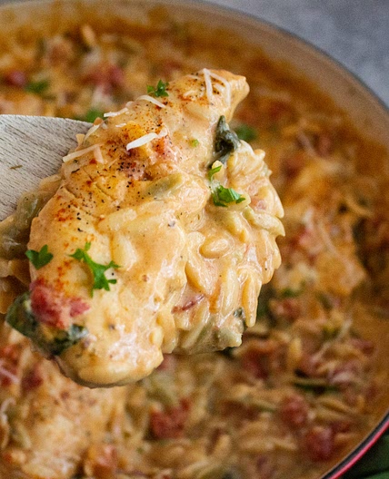 One Pot Italian Chicken and Orzo