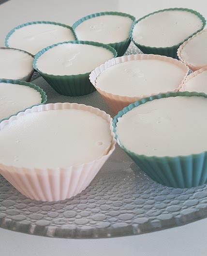 Coconut Pudding (椰子布丁)