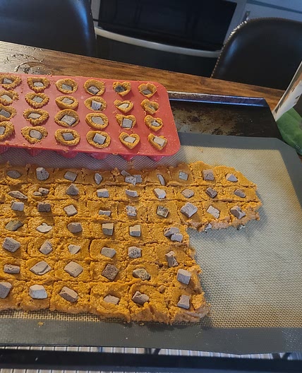 Healthy Dog Treats - Pumpkin Edition