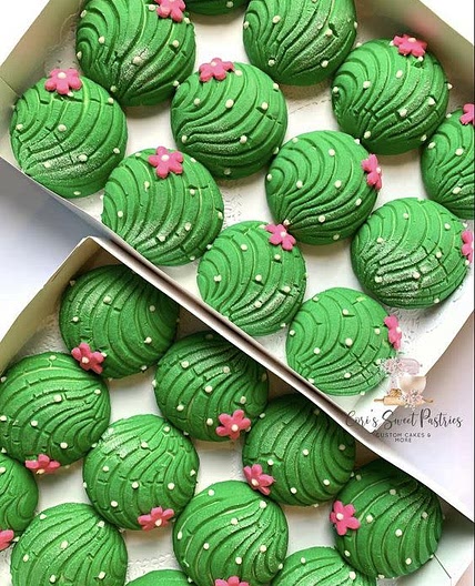 Conchas Masa