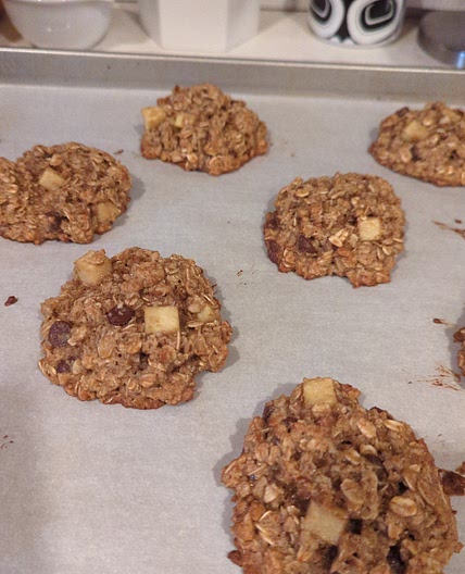 Breakfast Cookies (2nd Try)