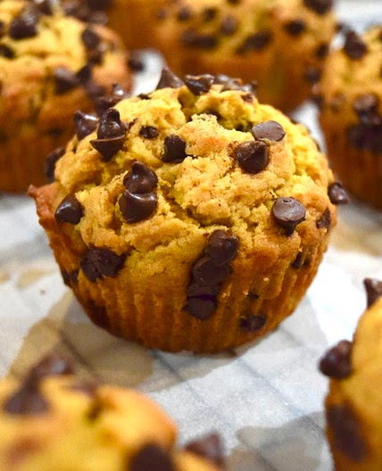 Pumpkin Chocolate Muffins