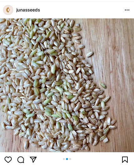 How to: Cook Rice?