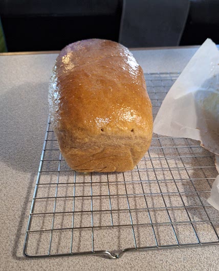 Homemade whole wheat sourdough