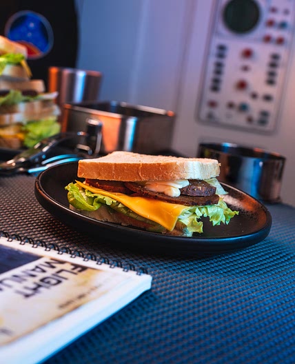 The Sandwich with Multi-meat salami - Starfield NERDS' KITCHEN
