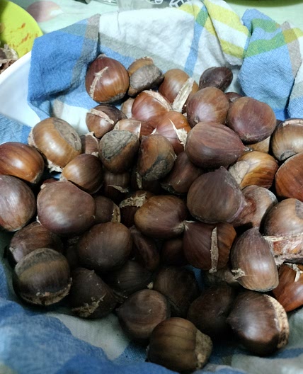 Castagne con la friggitrice ad aria