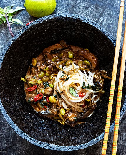 Udon Nudeln in Spicy Kokusmilch 