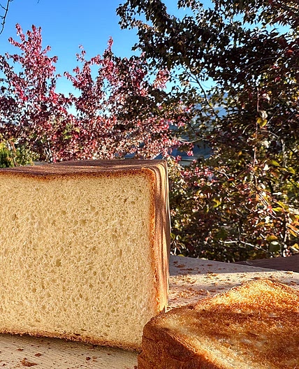 Pain de mie - Crumb bread -Pullman loaf -Bread machine Help