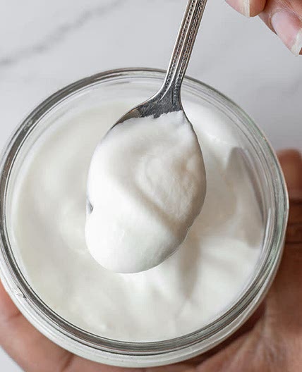 Low Carb Instant Pot Yogurt