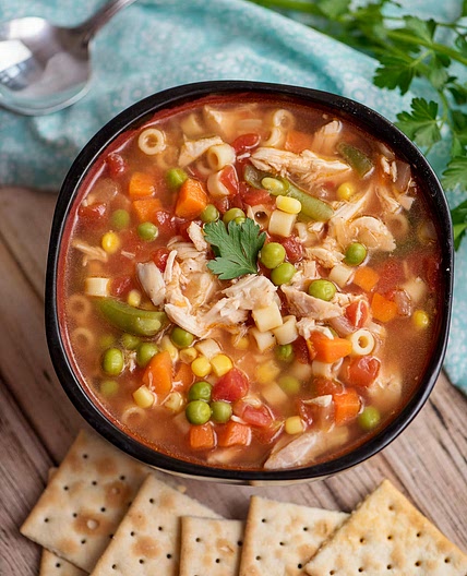 Instant Pot Chicken and Vegetable Soup
