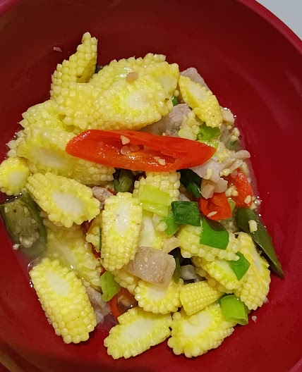 Cah jagung muda putren babi