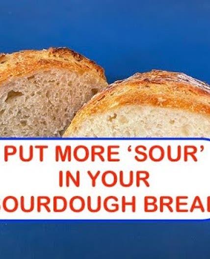 Ron Tressler “SOUR" SOURDOUGH BREAD