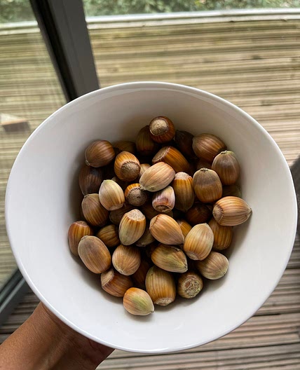 How to: nuts