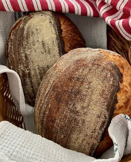 Same Day Sourdough Bread 