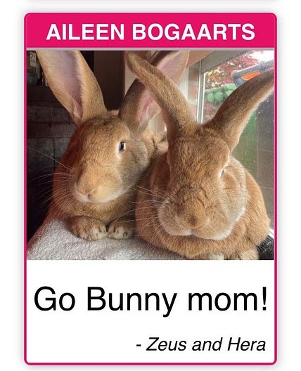 Zelf shoarmakruiden maken (basisrecept) - Lassie rijst