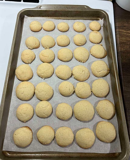 Homemade Nilla Wafers
