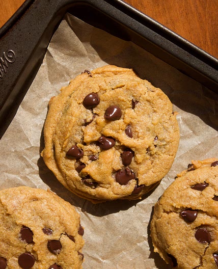 Pumpkin Chocolate Chip Cookies