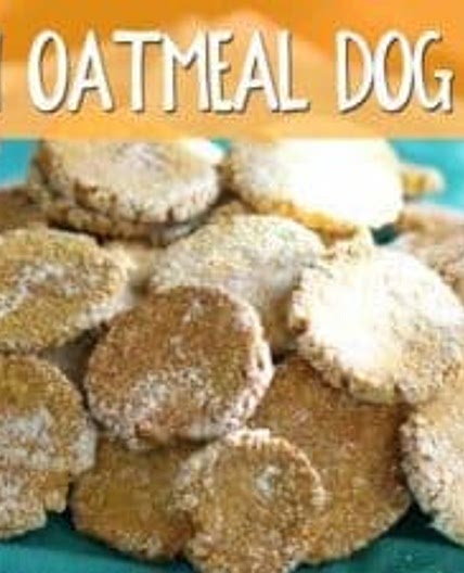 Pumpkin Oatmeal Dog Treats